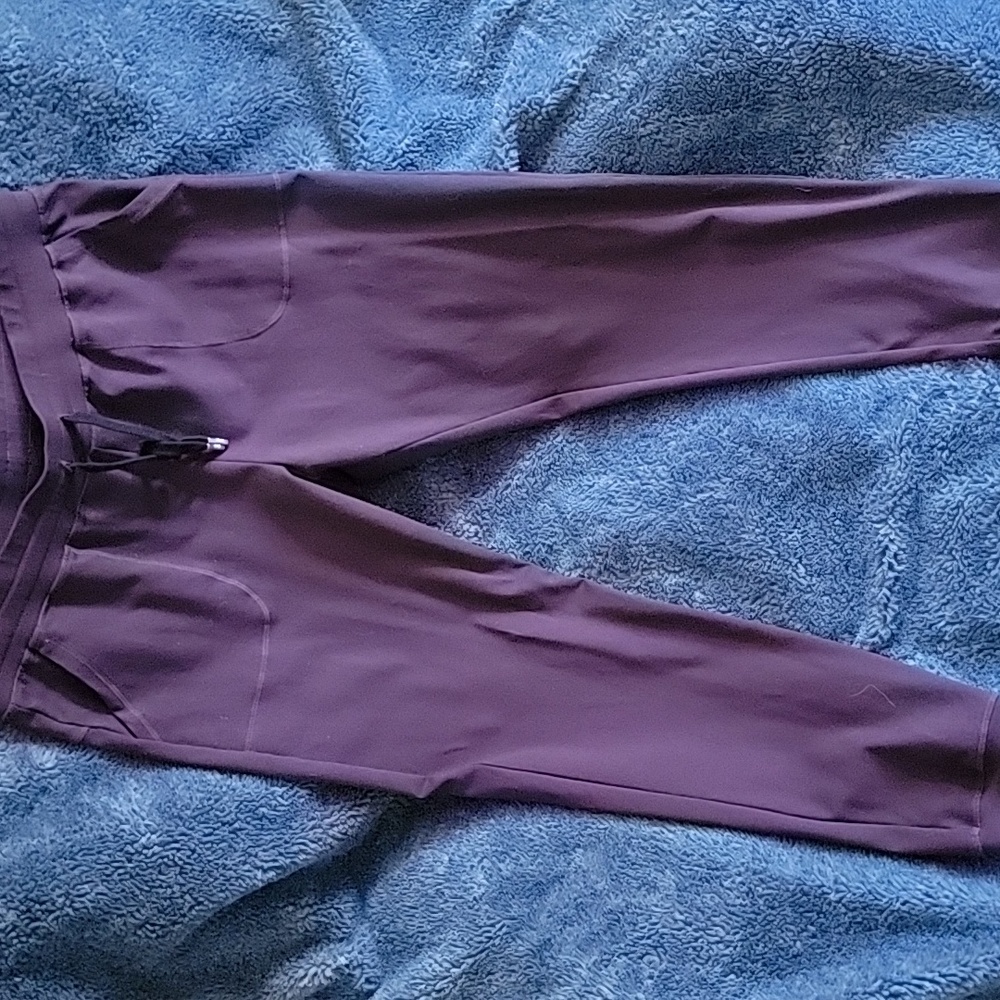 Zyia plum unwind joggers, xl